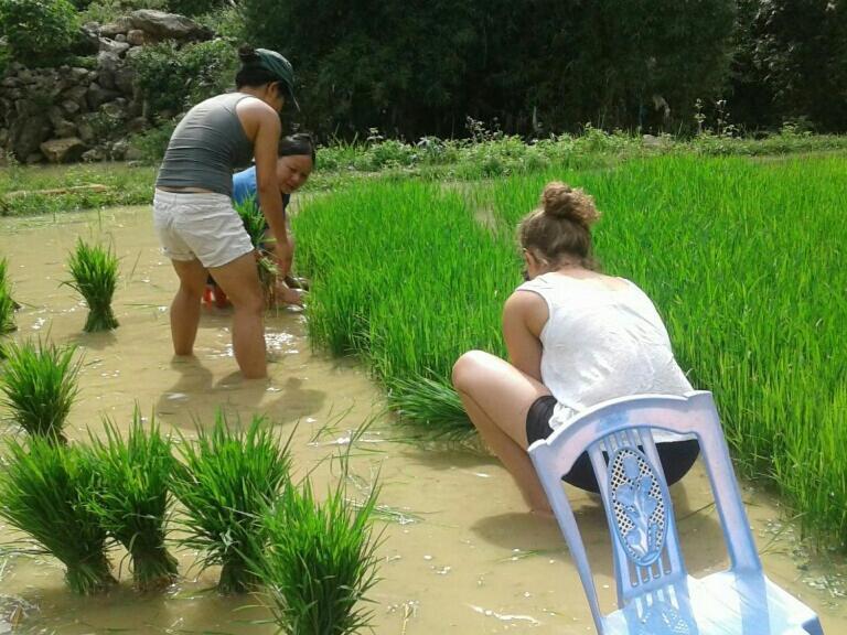 Yen Nhi Homestay Ban Gioc Cao Bang Extérieur photo